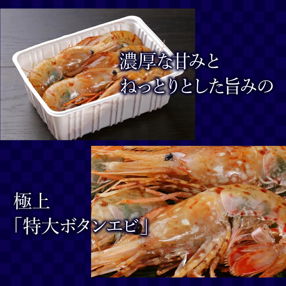 特大2Lサイズ ボタンエビ 500g 刺身できます(ロシア産) 9〜10尾