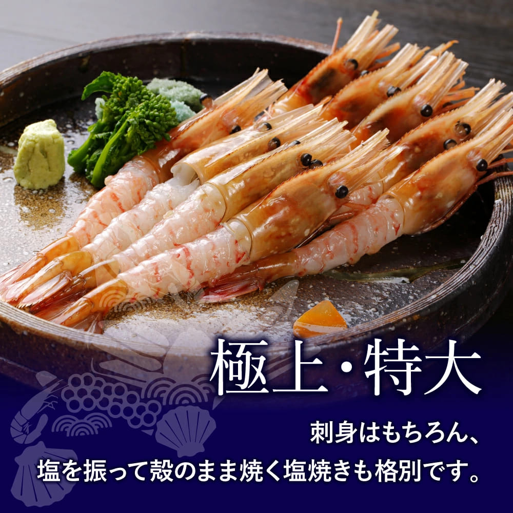 特大2Lサイズ ボタンエビ 500g 刺身できます(ロシア産) 9〜10尾