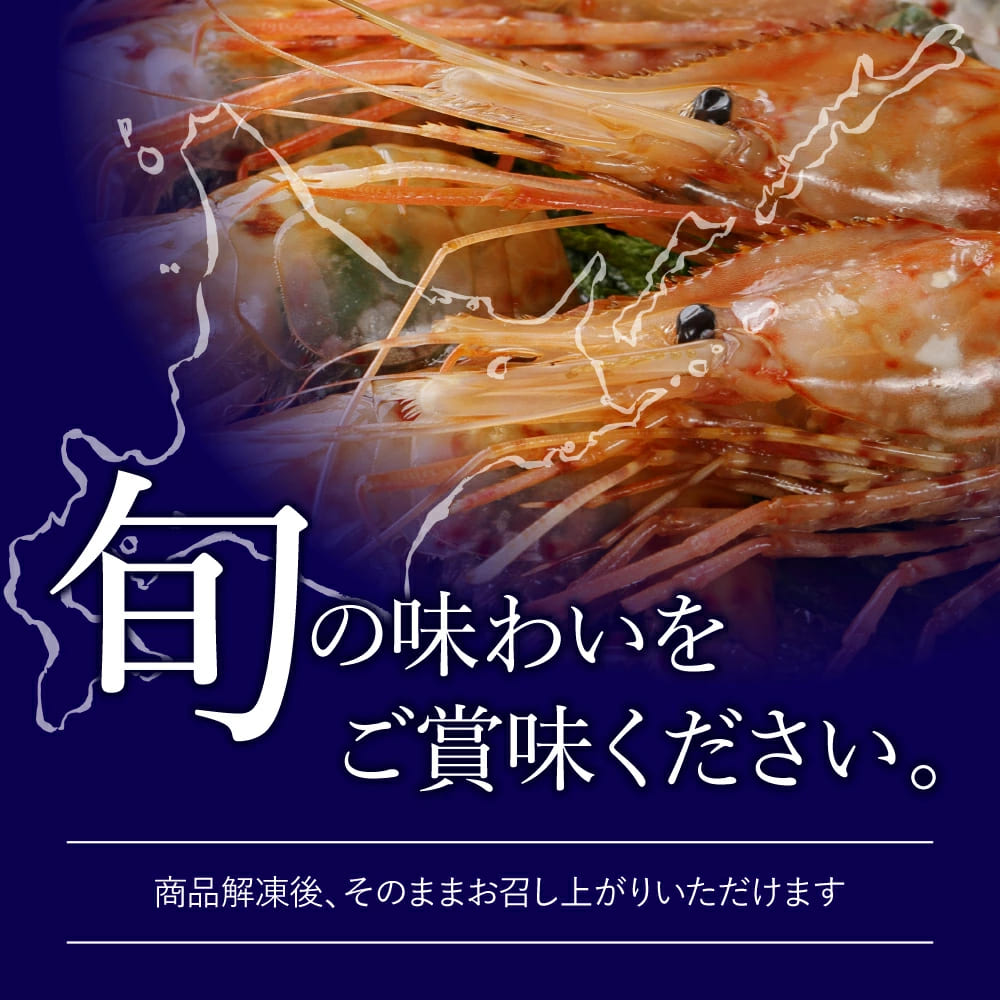 特大2Lサイズ ボタンエビ 500g 刺身できます(ロシア産) 9〜10尾