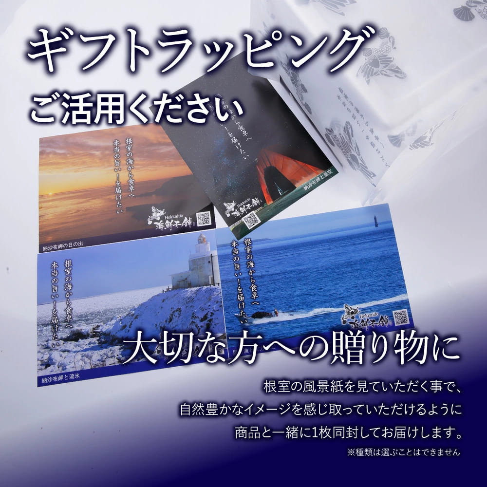 送料無料　北海道根室産 甘味濃厚！大中サイズ北海しまえび300ｇパック12尾前後入り