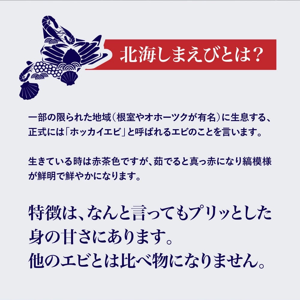 送料無料　北海道根室産 甘味濃厚！大中サイズ北海しまえび300ｇパック12尾前後入り